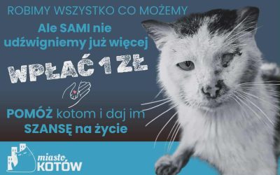 Łapiemy dotację na organizację!