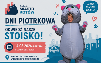 Miasteczko NGO na Dniach Piotrkowa