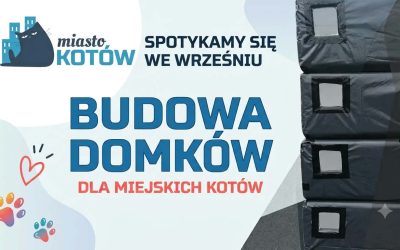 Budujemy domki dla kotów